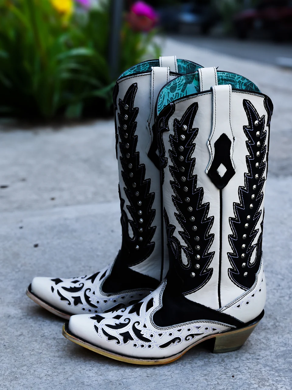 C4160 - WOMEN'S BLACK OVERLAY EMBROIDERY AND STUDS SNIP TOE WHITE COWBOY BOOT - Image 2